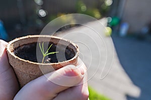 Kid holding a pot with starting plants