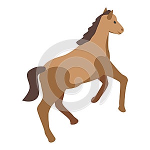 Kid horse icon isometric vector. Animal competition