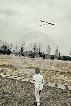 Kid flying kite