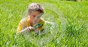 Kid on the meadow looking the grass with a magnifying glass.
