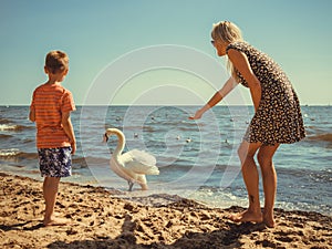 Kid and mother on beach have fun with swan.