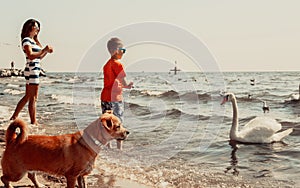 Kid and mother on beach have fun with swan.