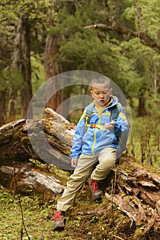 Kid observe insect in hand