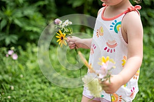 Kid picking flowers in summer