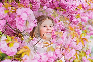 Kid on pink flowers sakura tree background. Child enjoy life without allergy. Sniffing flowers. Allergy remedy. Pollen