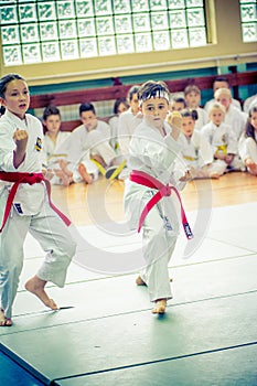 Kid practicing karate
