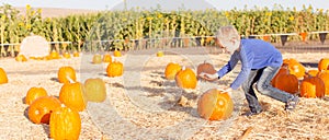 Kid at pumpkin patch