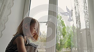 Kid putting on window of doves symbolizing peace