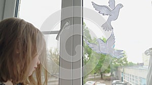 Kid putting on window of doves symbolizing peace