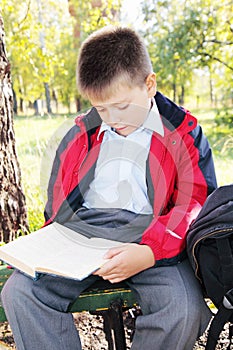 Kid reading book in park