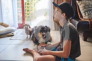 Kid, relax and video games on television in home with dogs on vacation or holiday in summer. Family, house and child