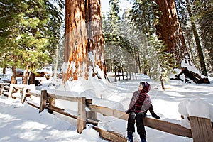 Kid in sequoia national park