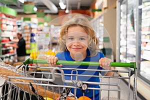 Kid with shopping cart at grocery store. Kid on shopping in supermarket. Grocery store, choosing goods. Shopping for