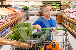 Kid with shopping cart at grocery store. Kid on shopping in supermarket. Grocery store, choosing goods. Shopping for