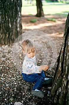 Kid sits on the ground near a large tree and holds a stick in his hand