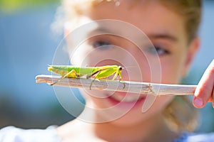 Kid small girl looking praying mantis