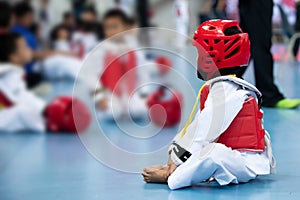 Kid Sport Athlete Taekwondo with protective Gear