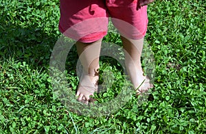 Kid standing bare footed on the green grass, clover leaves, in red shorts. Child`s feet on the grass, happy feeling, warm sunny