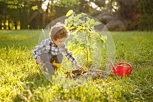 Kid taking care of tree in garden