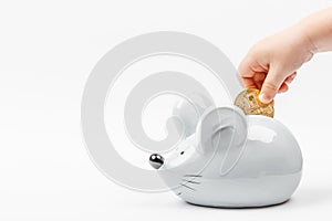 Kid Toddler`s hand puts a bitcoin coin in a gray mouse or rat piggy bank on a white background with place for text