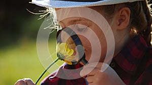 kid tourist examines flower with a magnifying glass in the park. travel tourism adventure concept. little kid boyscout