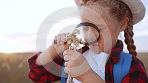 Kid tourist examines the plant with a magnifying glass. travel tourism adventure concept. little kid boyscout girl with