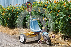 Kid tricycle