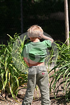 Kid urinating photo