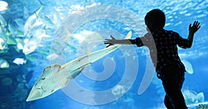 Kid watching the shoal of fish swimming in oceanarium