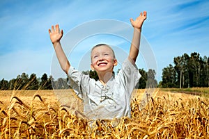 Kid in wheat field