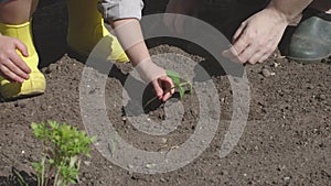 kid yellow rubber boots plants young plant in ground spring daytime sunny garden