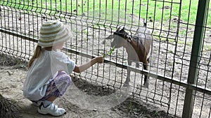 Kid in Zoo Park, Child Feeding Goats, Girl Love Nursing Animals Playing with Billy Goat, Fawn, Children Pets Care at Farm