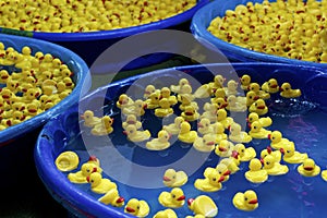 Kiddie Pools full of Rubber Ducks