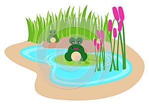 Kiddies cartoon illustration of frogs in the pond