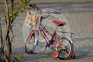 Kiddo bike photo