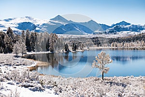 Kidelu lake in Altai mountains, Siberia, Russia. Snow-covered trees and mountains