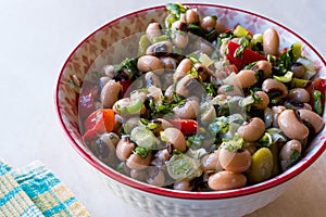 Kidney Bean Salad with Tomatoes, Parsley and Dill / Borulce Salatasi / Salata.