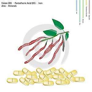 Kidney Bean with Vitamin B9, B5 Iron, Manganese and Zinc