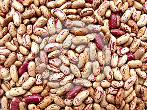 Kidney Beans