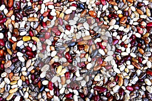 Kidney Beans