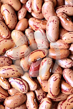 Kidney beans background