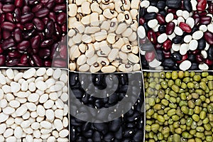 Kidney beans background, different kind haricot - red, black, white, mung in square cells closeup top view.