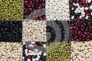 Kidney beans background, different kind haricot - red, black, white, mung in square cells closeup top view.