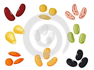 Kidney beans. Beans in cartoon style. Healthy vegetarian food illustration.