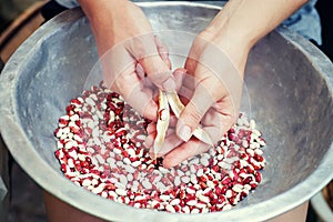 Kidney beans in hands