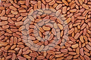 Kidney beans or red beans