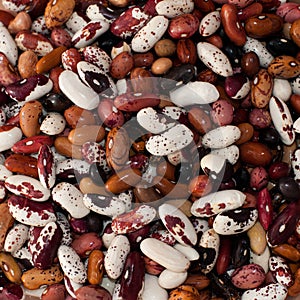 Kidney beans top view
