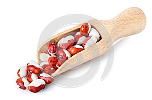 Kidney beans in wooden scoop