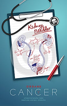 Kidney and Bladder Cancer and infection, Doctor writing and hand sketch drawing on paper chart with pad, pen and stethoscope,