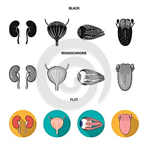 Kidney, bladder, eyeball, tongue. Human organs set collection icons in black, flat, monochrome style vector symbol stock